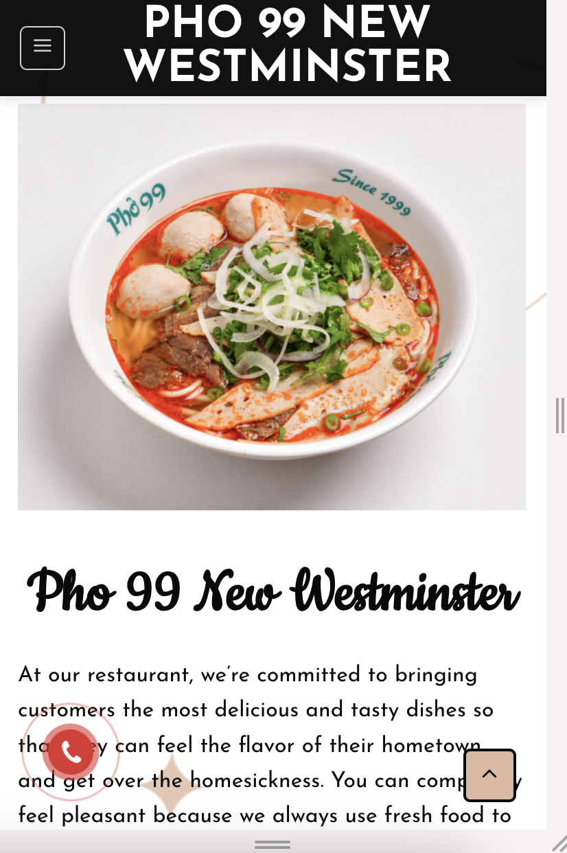 WEBSITE DEMO - TPRO-006