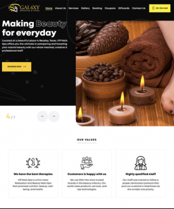 WEBSITE DEMO - TPRO-008